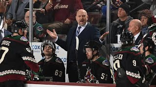 Whats Wrong With the Arizona Coyotes [upl. by Anaic]