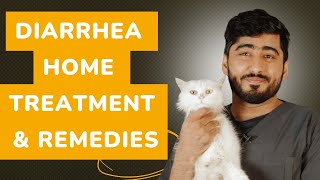 Cat Diarrhea Medication amp Home Remedy  Cat diarrhea treatment  Animalia Dot Pk [upl. by Aiel]