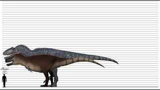 Giganotosaurus vs zhuchengtyrannus Size comparison [upl. by Kei762]