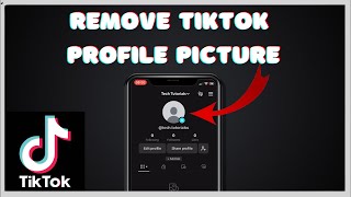 How To Remove Profile Picture On TikTok 2024 [upl. by Anomas]