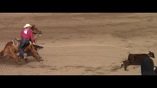 Cheyenne rodeo calf roping  July 20 2017  2nd Go Round Part 3 [upl. by Pollerd]