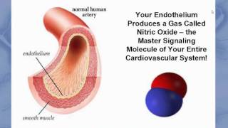 Endothelial Health Webinar [upl. by Ecertak]