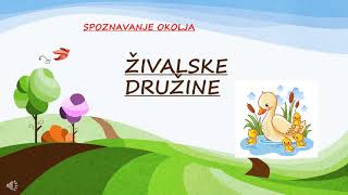 ŽIVALSKE DRUŽINE [upl. by Lemcke]