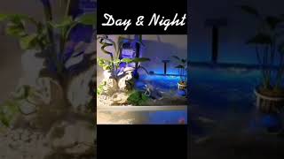 Day amp Night Mode I Aquascaping Hobby [upl. by Melissa]