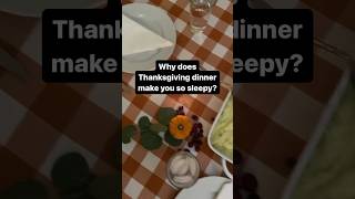 Why does Thanksgiving dinner make you sleepy [upl. by Nylednarb]