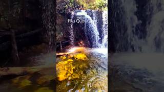 Phu Quoc island Vietnam National Park travel country nature traveling foryou shorts fyp 4k [upl. by Asirb]