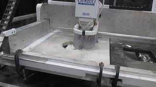 SinkBot at TISE 2019 [upl. by Ycaj]