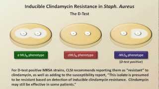 Antibiotic Resistance Antibiotics  Lecture 9 [upl. by Bonny]