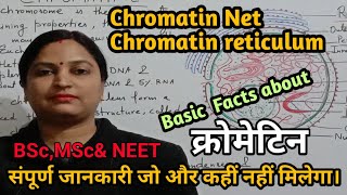 Chromatin Structure Euchromatin Heterochromatin amp Functionsक्रोमेटिन की जानकारी।NEETBScMScSTD [upl. by Rudolph]