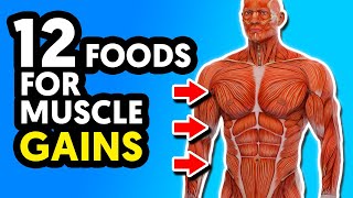 12 Best Foods For Muscle Building and Strength [upl. by Immak684]