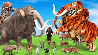 Woolly Mammoth vs Giant Tiger Mammoth vs Tiger Fight Cow Buffalo Elephant Save by Giant Mammoth [upl. by Lanrev]