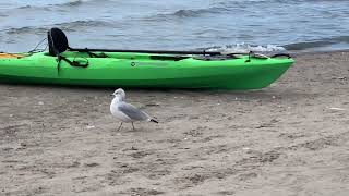 Port Burwell Provincial Park September 20 2024 [upl. by Holli]