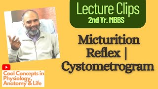 All you need to know about the Micturition Reflex  Cystometrogram  Guyton [upl. by Hyams373]