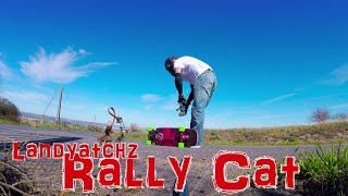 Rally Cat review tests [upl. by Hemphill409]