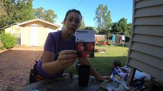 Sowing tomato seeds to grow in containers  Stepbystep guide [upl. by Auhesoj]