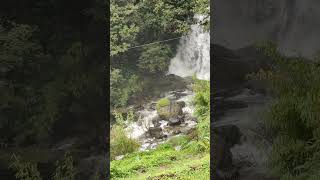 Natural waterfalls in Ayatana resort 😊🥰😊youtubeshorts karnatakatourism coorgtourism viralvideo [upl. by Akemehs]