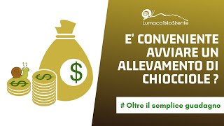 E conveniente avviare una allevamento di chiocciole  Pareri personali [upl. by Cato]