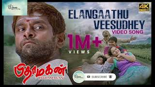 Elangaathu Veesudhey Video Song Pithamagan Ilaiyaraaja Vikram Suriya tamilsongs illayarajasongs [upl. by Niro]