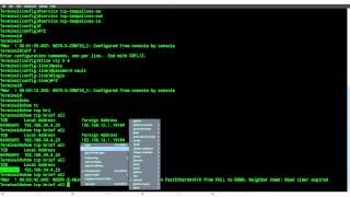 TCP Keepalive on Cisco IOS [upl. by Asek]