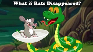 What if Rats Disappeared  more videos  aumsum kids cartoon whatif [upl. by Newman]