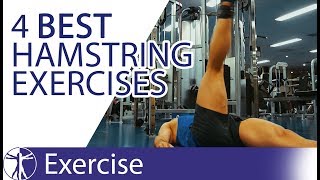 The 4 Best Hamstring Exercises  Hamstring Training [upl. by Sissel]