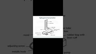 Sphygmomanometer l Exit exam preparation l Blood pressure measurement blood pharmacy [upl. by Bridge]