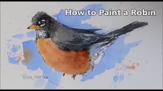 Demonstration of an American Robin in Line and Wash Watercolors [upl. by Michell]