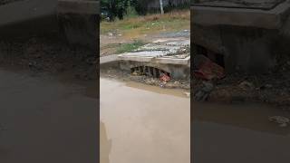 Hard Work With Mini Tool Unclogged Culvert unclog cloggeddrain drain shorts [upl. by Tonkin810]