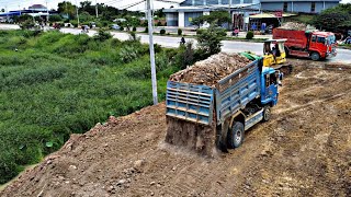 Amazing new project update land with DumpTruck carrying soil to fill land operation by Komatsu Dozer [upl. by Eelyab]