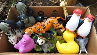 Variety of Zoo Animals for Kids Toy Showcase [upl. by Tlevesor]