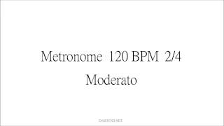 Metronome 120 BPM 24 Moderato [upl. by Dominus]