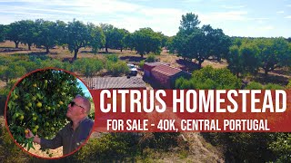 CITRUS HOMESTEAD 40K EUROS  CENTRAL PORTUGAL FARM REAL ESTATE INVESTMENT [upl. by Arvie]