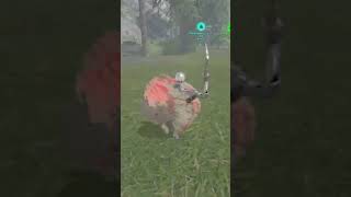 How To Tame A Pteranodon  Ark Survival Evolved 2023 [upl. by Mariand770]