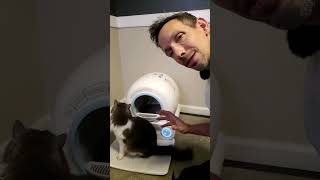 Automatic smart cleaning cat litter box Quick Review  no more cleaning the litter box [upl. by Shaughnessy219]