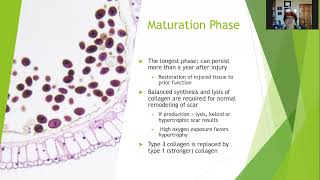 Chapter 3 Inflammation and Tissue Repair [upl. by Lertsek]