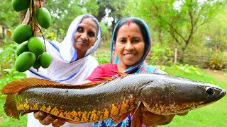 গাছের আম দিয়ে শোল মাছের আমশোল রান্না  Shol fish and raw mango curry in village style  villfood [upl. by Amikat967]