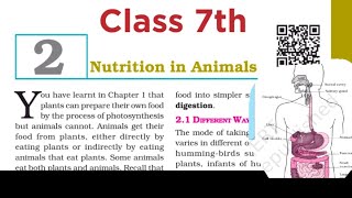 Ch 2 NUTRITION IN ANIMALS  Class 7th  Ncert [upl. by Neirrad]