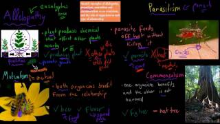 3 Allelopathy parasitism mutualism commensalism preliminary biology [upl. by Caddric]