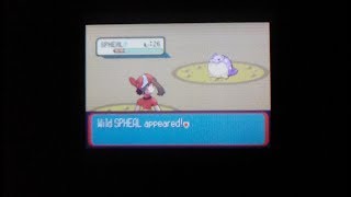 WSHC 2018 2019 3 Shiny Spheal after 3907 REs in Sapphire [upl. by Bordy800]