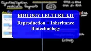 IMAT Biology Lesson 411  Reproduction  Inheritance  Biotechnology [upl. by Lenz134]