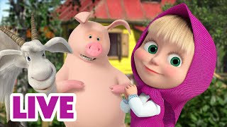 🔴 LIVE Maşa İle Koca Ayı 🙌 Hayırlı İşler Bürosu 🤗🏢 Masha and the Bear [upl. by Eidnac]