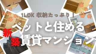 🐈ペットと住める賃貸マンション🐕しかも新築❗️ [upl. by Kir]