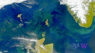 Eddies Drive Particulate Carbon Deep in the Ocean During the Spring Phytoplankton Bloom [upl. by Oiram]