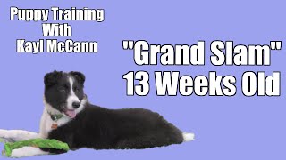 Puppy Training quotGrand Slamquot 13 Weeks [upl. by Nylimaj]