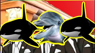 Orca Shark Vs Dolphin Vs Orca Shark  Coffin Dance Meme Cover [upl. by Nnylear68]