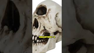 Ancient Cyclops Skull Found in Indonesia Myth Becomes Reality [upl. by Cutcheon]