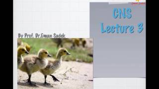 Lecture 3 CNS 2017 [upl. by Dnalloh]