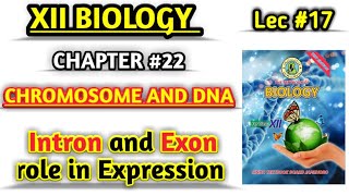 Role of Introns and Exon in Gene Regulation  lec 17 Chromosomes and DNA class 12 [upl. by Sherwood695]