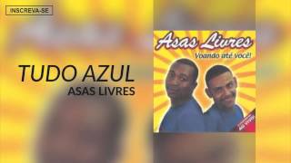 Asas Livres  Tudo Azul Voando Até Você Áudio Oficial [upl. by Roinuj96]