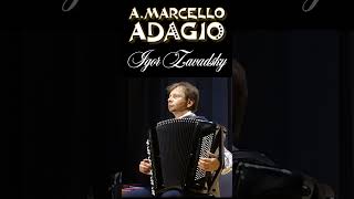 AMarcello Concerto in D minor Adagio 16 Zavadsky accordion marcello adagio classicalmusic [upl. by Gorges]